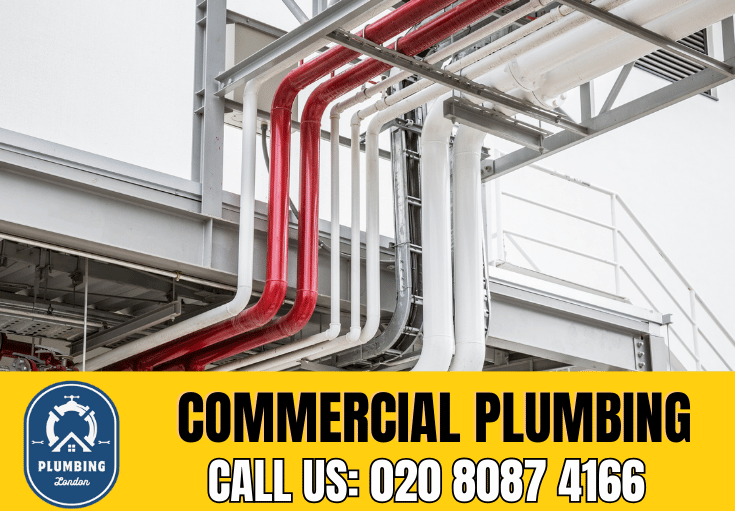 commercial plumbing Chelsea