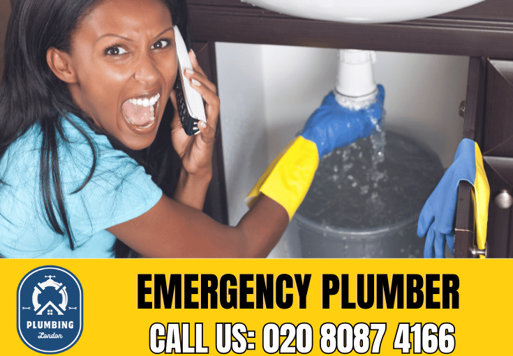 emergency plumber Chelsea