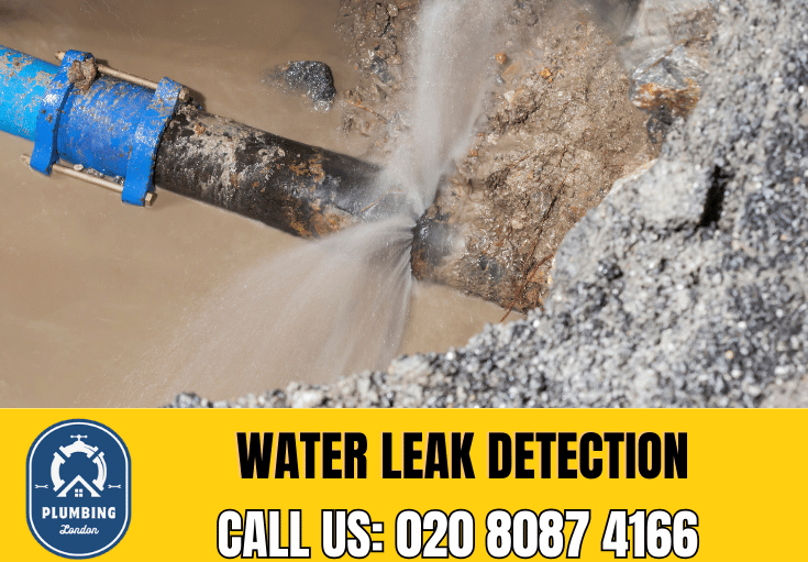 leak detection Chelsea