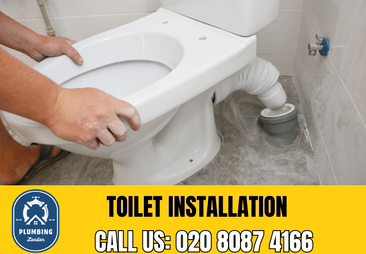 toilet fitters Chelsea